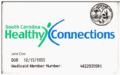 Partners for health.gif