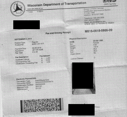 Wi-dmv printout ID.gif