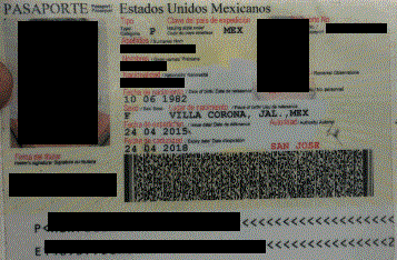 Ca-mexican passport.gif